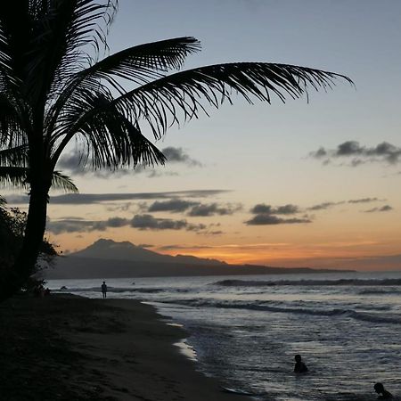 La Villa Caribeenne De La Plage Des Surfeurs 拉特里尼泰 外观 照片