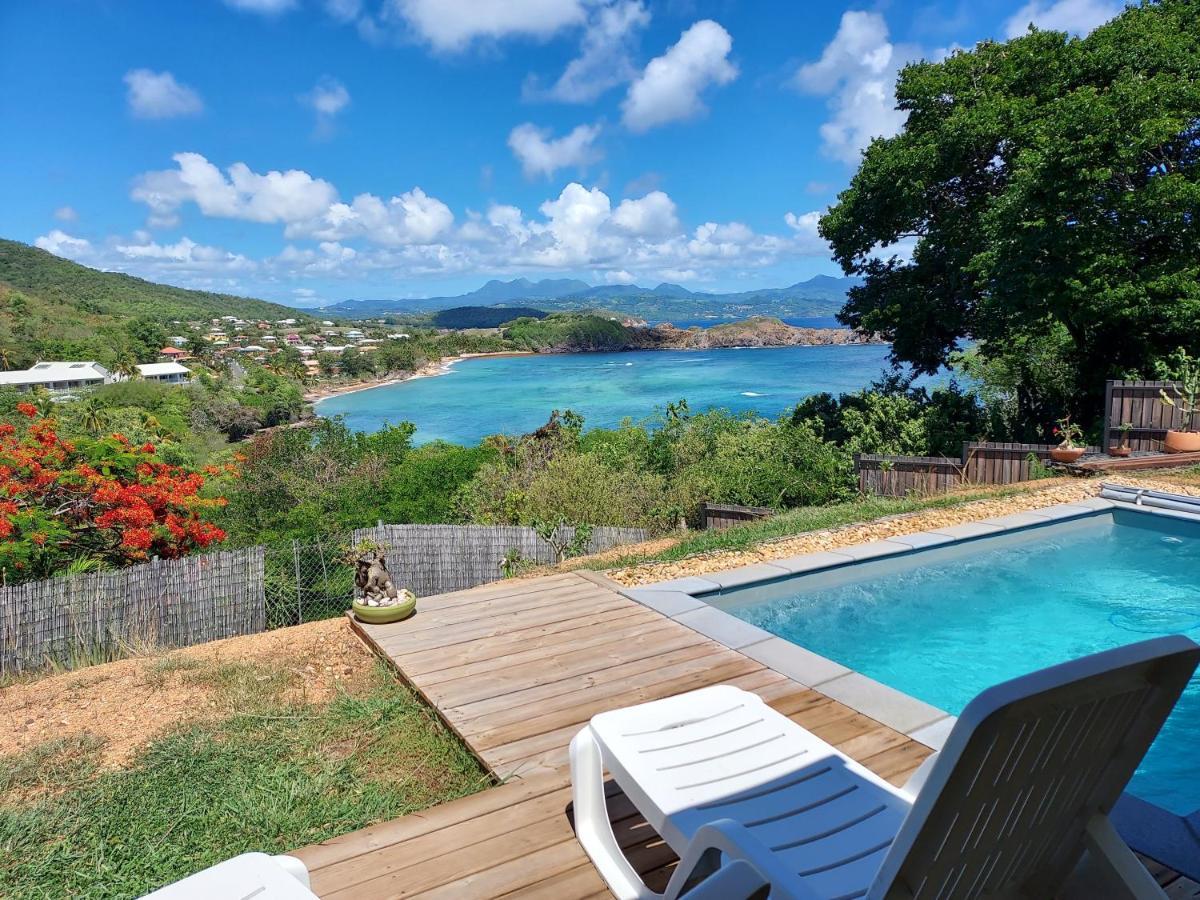 La Villa Caribeenne De La Plage Des Surfeurs 拉特里尼泰 外观 照片