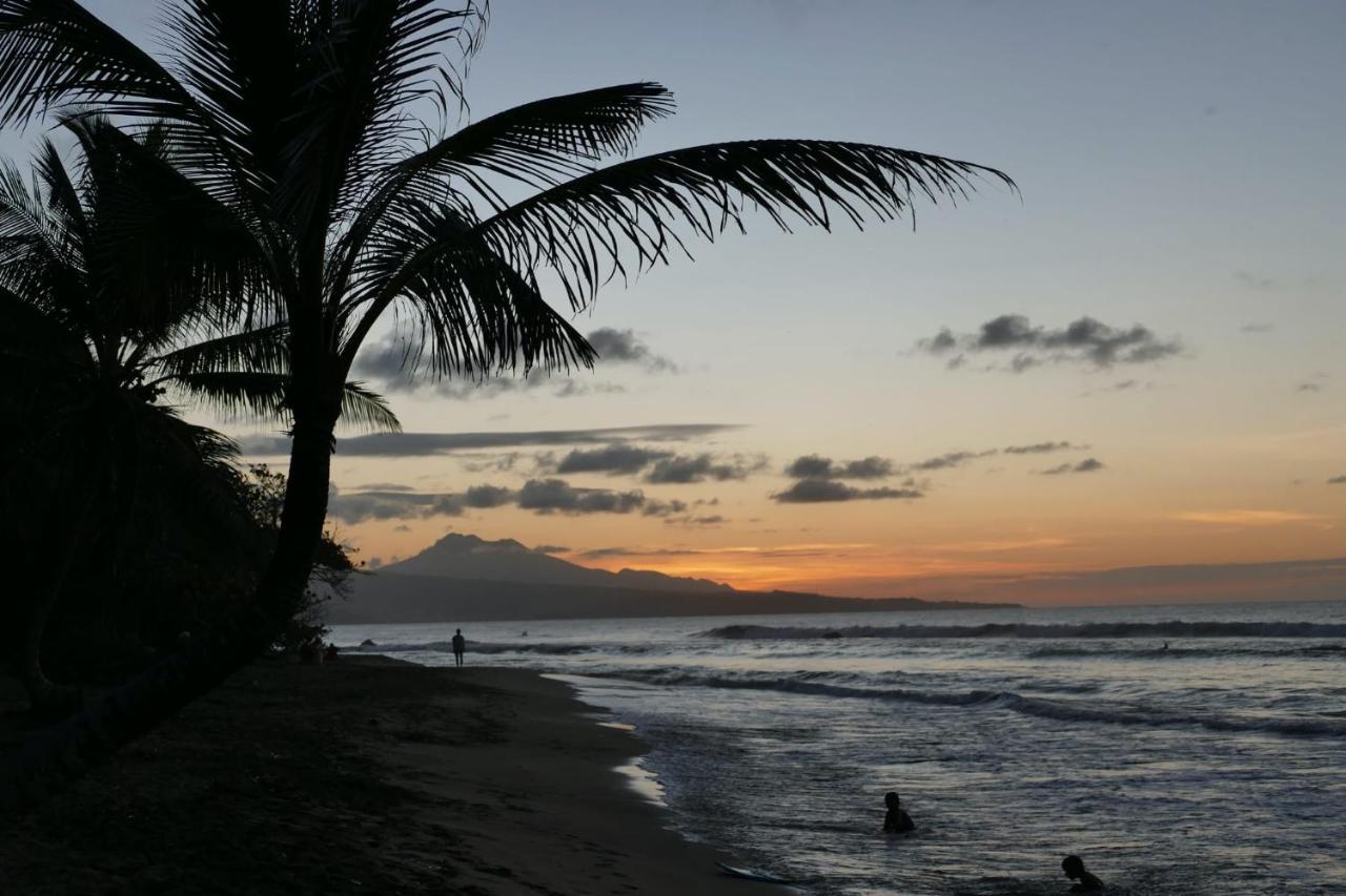 La Villa Caribeenne De La Plage Des Surfeurs 拉特里尼泰 外观 照片