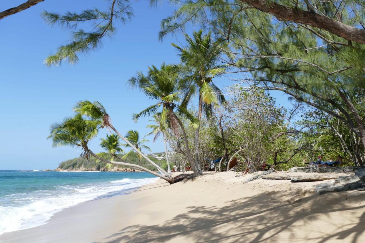 La Villa Caribeenne De La Plage Des Surfeurs 拉特里尼泰 外观 照片